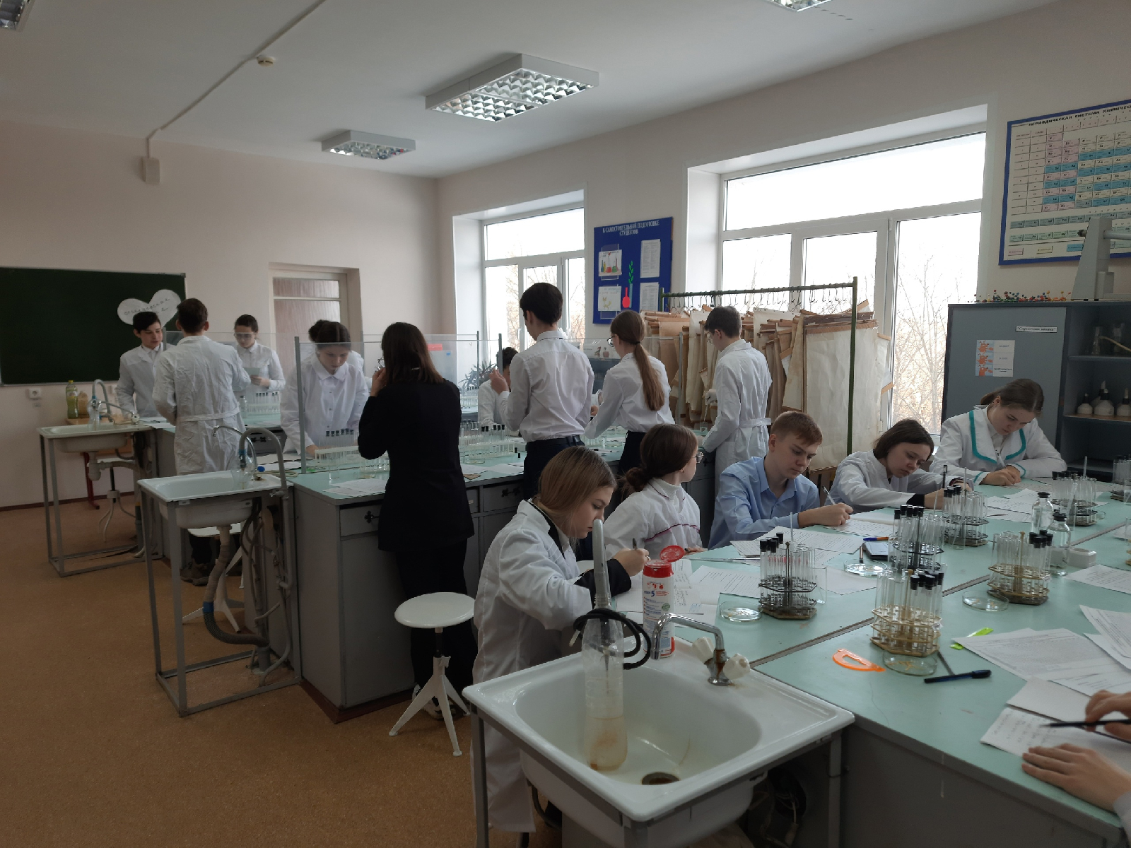 27 января прошел практический тур регионального этапа ВсОШ по химии